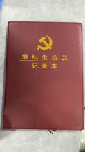 天力 16开 定制组织生活会议笔记本 配色（单位：本）