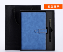 国产 A5 商务笔记本套装 定制logo 蓝色 （单位：套）