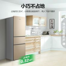 容声 BCD-217D11N 217升 三门冰箱家用节能 新二级能效 璀璨金（单位：台）