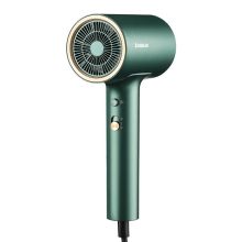 志高 ZG-DCF38 吹风机 绿色（单位：台）