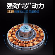 华生 FC-20 吊扇（单位：台）