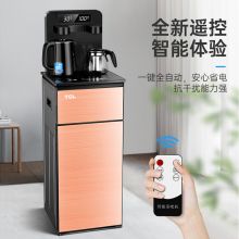 TCL TY-LDR 数显机械 家用饮水机（双出水口加厚机身/温热） 黑色（单位：台）