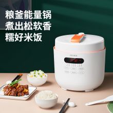 德国OIDIRE ODI-YLG2 智能电压力锅 白色（单位：个）