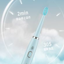 英国皇家盾牌 ZH5810T 电动牙刷（单位：支）