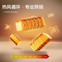 松下 NU-JK102 电烤箱蒸烤箱 配色（单位：台）