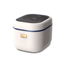 蓝宝 BP-DFBC01 智能电饭煲（单位：台）