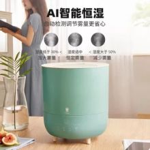 家奈 DS35C-19A 静音家用恒湿智能升级 空气加湿器 绿色（单位：台）
