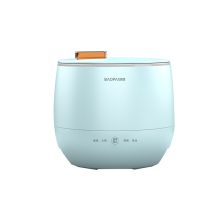 豹牌 BP-WB181 1.6L 电饭煲（单位：个）