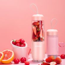 康佳 KJ-V150(S) 料理机（单位：个）