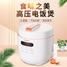 海牌HP-DL50电压力锅白色（单位：台）