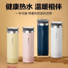 东菱 DL-4153 电热水杯轻量便携迷你烧水杯 300ml 棉云白（单位：个）