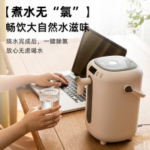 小熊（Bear) ZDH-H30B1 304不锈钢3L大容量多段保温 电水壶 浅栗色（单位：台）