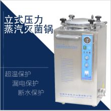华泰 灭菌锅自控型立式压力蒸汽高压灭菌锅灭菌器35L50L75L100L