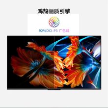 华为（HUAWEI）HD75DESA平板电视（单位：台）