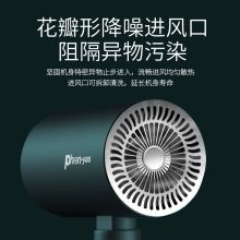 依氏之谜 SGS-211 蓝光负离子吹风机 磨砂绿（单位：台）
