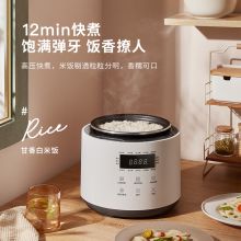 生活元素 R2 电压力锅 白色（单位：个）