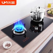 优盟(UM) ZJ001V(液化气) 台式双头燃气灶（单位：台）