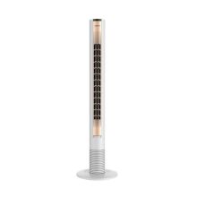 长虹 TS-45C09 遥控版45W 塔扇 金色（单位：台）