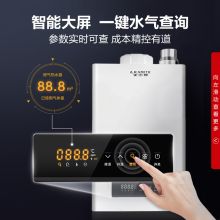 史密斯 JSQ26-J0 13升燃气热水器 家用 双温度传感器 智能恒温 大屏设计 防冻 (天然气)家电 （单位：台）
