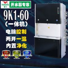 腾飞 9K1-60D 60L 2开1温微电脑快速电开水器 本色（单位：套）