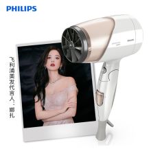 飞利浦(PHILIPS) HP8203 大功率恒温负离子电吹风 (单位：台)