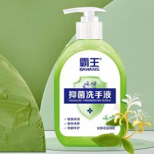 霸王 500mL 金银花滋润型 抑菌洗手液 绿色（单位：瓶）