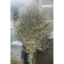 国产 110cm 竹扫帚 带叶 (单位:把）