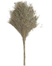 国产 170*75cm 手工竹扫帚 棕色（单位：把）