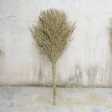 捷诺立 N51539 170cm 扫把 原色(单位：把)