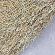 国产 大扫把 竹扫帚 扫地马路扫院子 道路清洁专用 带叶笤帚 一体式（单位：把）