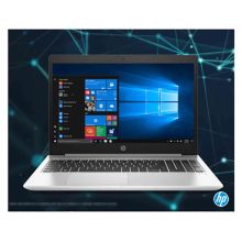 惠普 HP ProBook 450 G7-6601010005A 便携式计算机 i5-10210U(1.6 GHz/6 MB/四核)/15.6寸屏/8G DDR4 2666Mhz(1根)内存/256GM2 PCIe NVMe SSD固态硬盘/2G显寸/无光驱/麒麟操作系统（桌面版）V4/包鼠/一年保修 银色（单位：台）