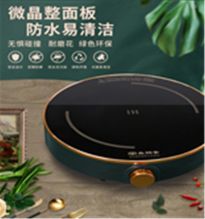 国产 2000W 家用迷你小型电磁炉 （单位：台）