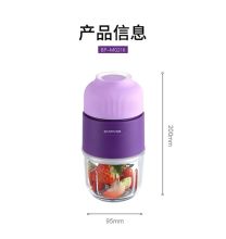 豹牌 BP-MG216 300ML 多功能辅食机（单位：个）
