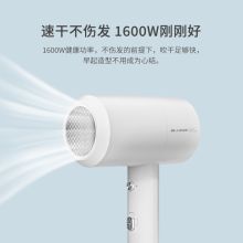 超人 RD1651 13.5*21cm电吹风机 1600W2档吹风 白色 （单位：个）