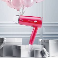 LOWRA ROUGE D6 远红外线低辐射电吹风1200W 肉粉色（单位：个）