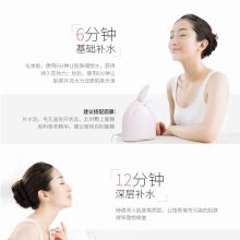 松下（Panasonic）EH-WSA3F 蒸脸器 热喷美容仪 蒸脸仪 （单位：个）