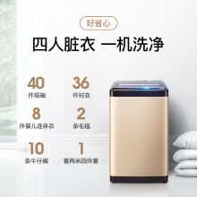 容声 RB80D1321G 8公斤 全自动洗衣机 香槟金（单位：台）