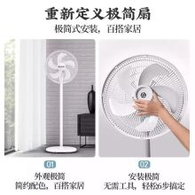 先锋 DLD-D10 电风扇 白色 （单位：台）