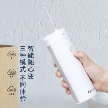 卓朗（ZoomLand）ZL-7006 便携式洗牙器（单位：个）