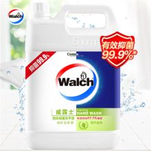 威露士 5L 泡沫洗手液 青柠盈润 有效抑菌99.9%（单位：桶）