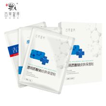 古草凝萃 透明质酸钠保湿贴 补水舒缓面膜 5片/盒（单位：盒）