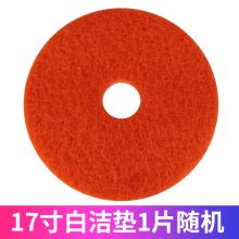 超宝  A-002洗地机配件  1盒5片  百洁垫    配色  (单位：片)