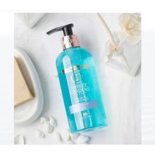 爵百莉 薄荷清柔洗手液300ml (两支装) 蓝色（单位:瓶）