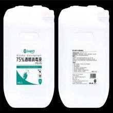 隆力奇 20L 应急消毒液 （单位：桶）
