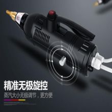 国产 2800W 蒸汽清洁机 消毒工具 黑色 (单位：个)