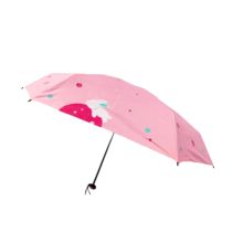 天堂 50084E 雨伞 配色（单位：把）