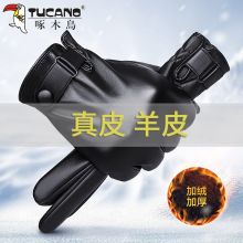 啄木鸟 真皮手套男冬季加绒加厚保暖开车骑行触屏发热手套羊皮头层 XL 黑色 单位：双
