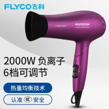 飞科 FH6618 2000W 折叠电吹风机家用 （单位：台）