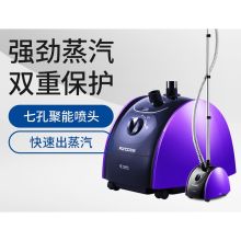 飞科 FI-9819 1500W 蒸汽挂烫机（紫蝶）（单位：台）