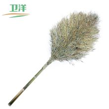 卫洋 WY-002 5斤左右款 竹柄大扫把 绿色（单位：把）